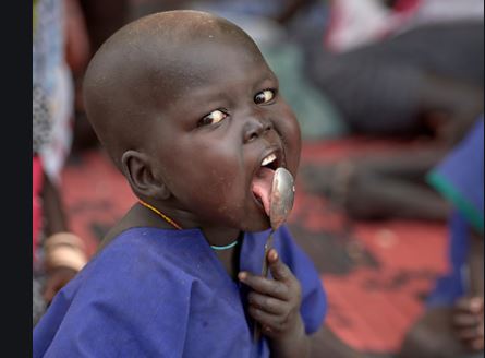 Over 7 million South Sudanese facing acute hunger