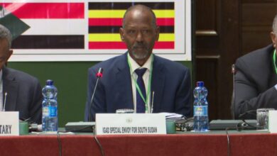 IGAD call for cooperation to implement peace deal