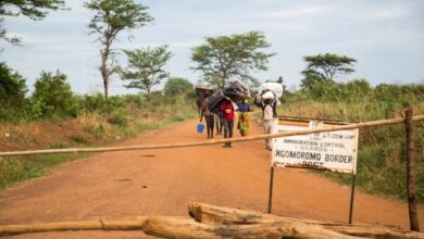 Population swells in Magwi County as refugees return home