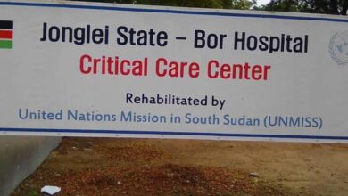 Striking doctors shut down Bor hospital