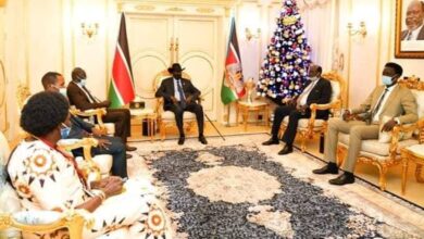 Bakosoro, Chagor brief President Kiir on Jonglei civil servants’ salaries