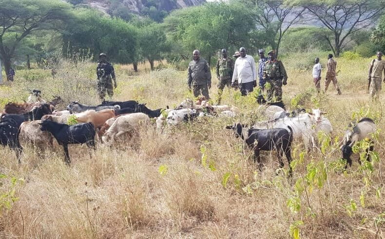 Governor calls for refrain after Nimule attack, wants cattle keepers evacuated