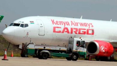 Kenya Airways halts contract for transporting monkeys to US