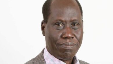 Prof Akec rebuffs suggestions for technocratic government