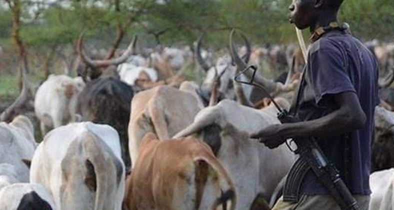 EES MPs: No room for negotiation with herders