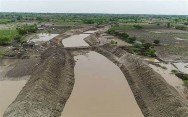 South Sudan govt sued in a Tanzanian court over Naam River