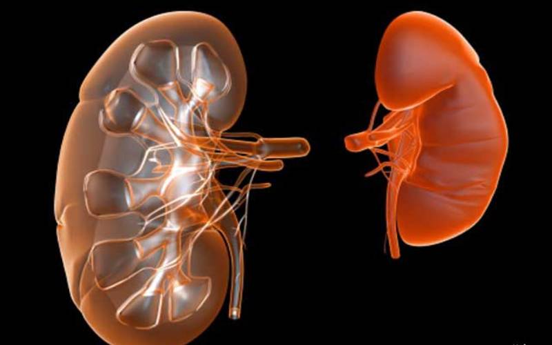 Your father has 24 hrs to live: When your kidneys are beyond repair