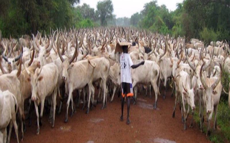 We need to control the movement of cattle in towns; not Torit alone
