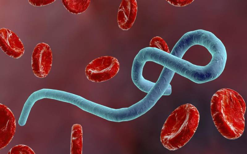 EXPLAINER: All you need to know about Ebola