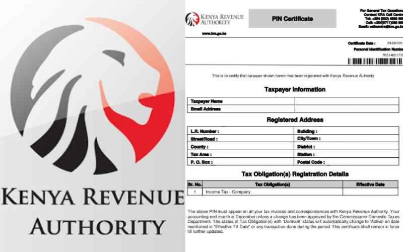 KRA PIN: A one-paged document that is locking South Sudanese out of Kenyan banks