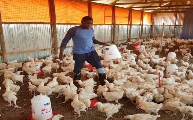 Moses: Why I dumped radio job for poultry farming