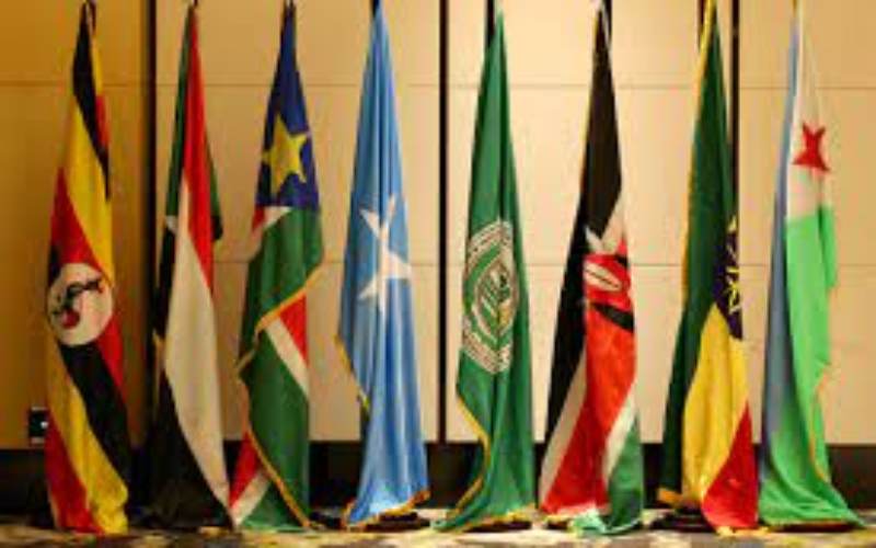 Planned IGAD meeting in Juba called off