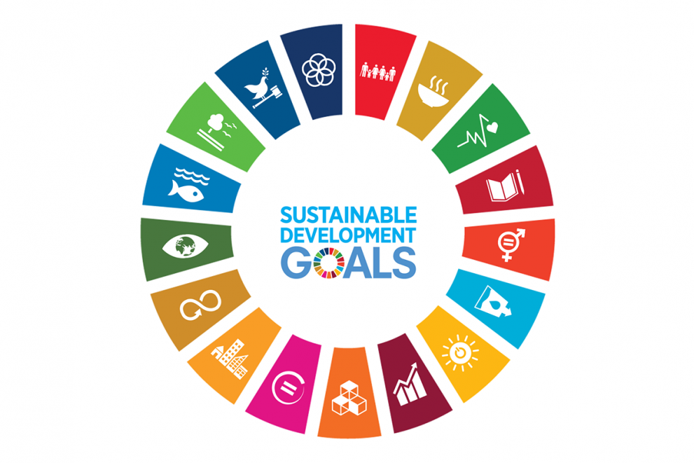 No African country on track with 2030 SDG goals: report