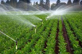 Ethiopia, South Sudan eye joint remedies in water and irrigation sector