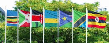 East African countries face high debt risks: report