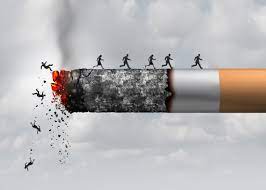 World winning war on tobacco: WHO
