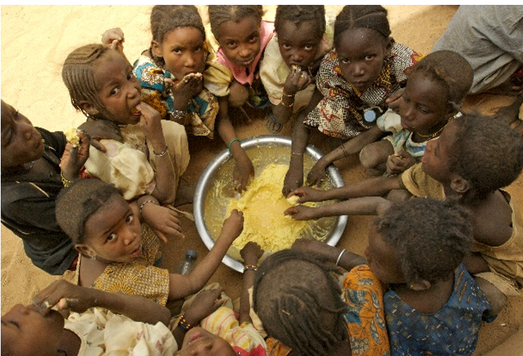 Over 200 million people faced extreme food insecurity: report